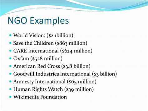 ngo examples.